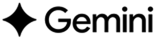 Google Gemini — AI classification